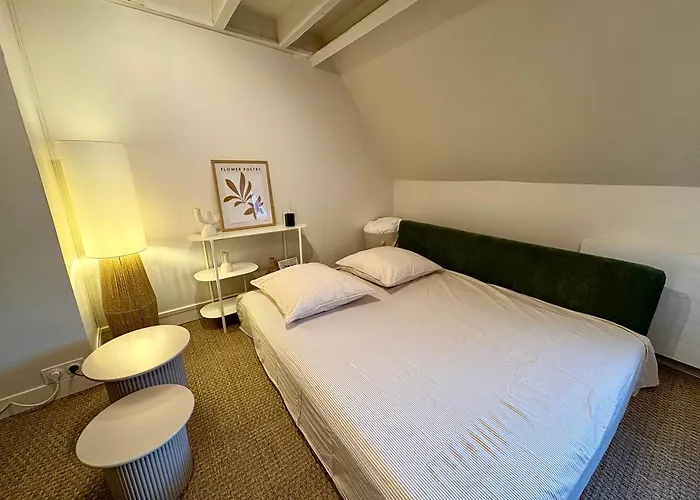 Duplex De Charme 4 Pers Stationnement Gratuit Appartement Arras